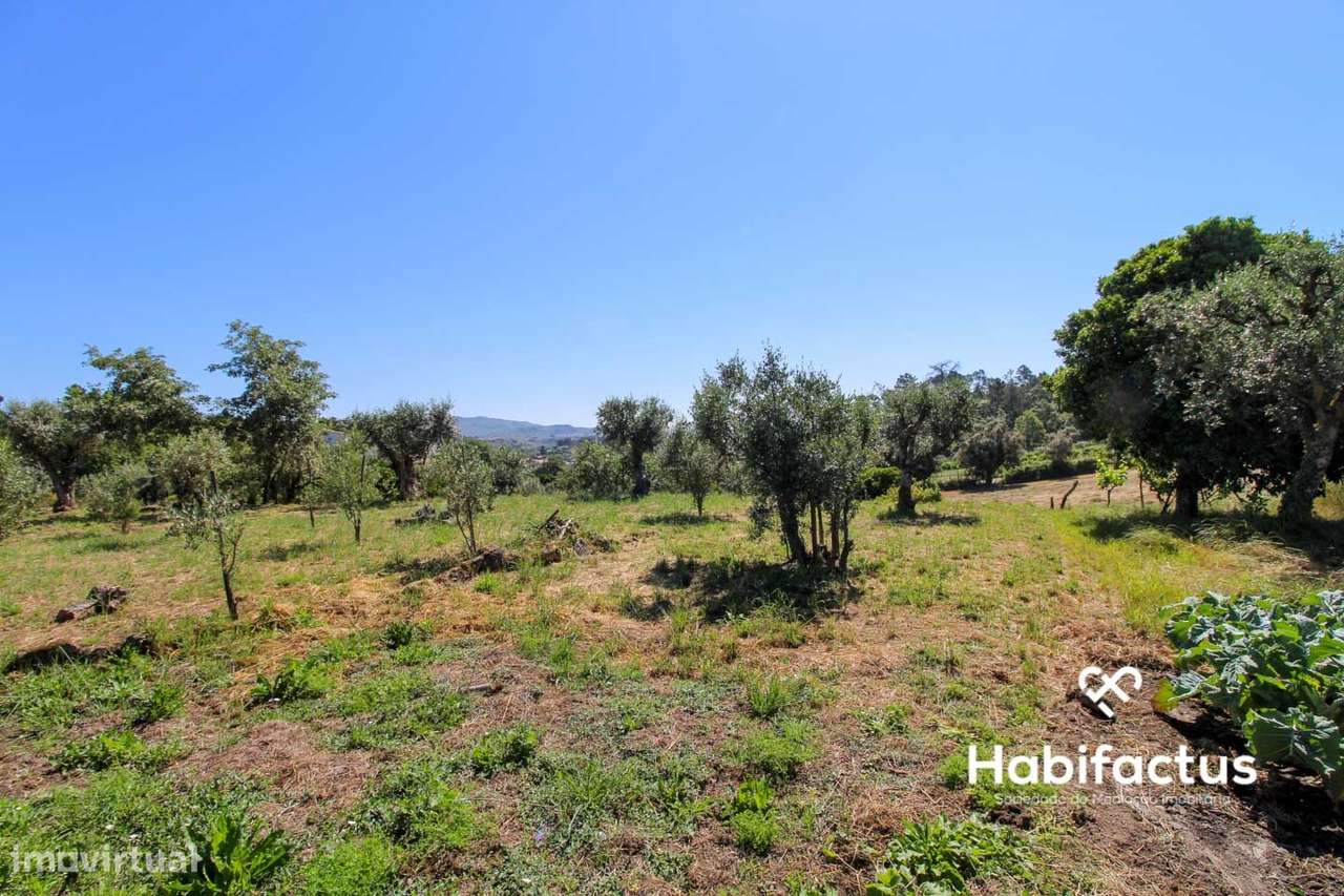 Terreno com viabilidade para construção a 9 km de Mangualde - Grande imagem: 4/6