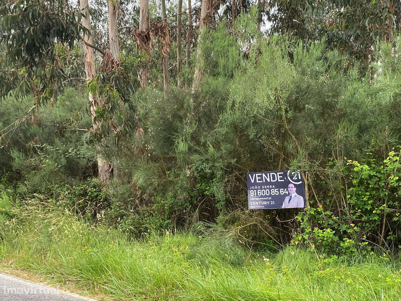Terreno Espetacular em Tábua com Acesso e Luz Natural - Grande imagem: 5/11