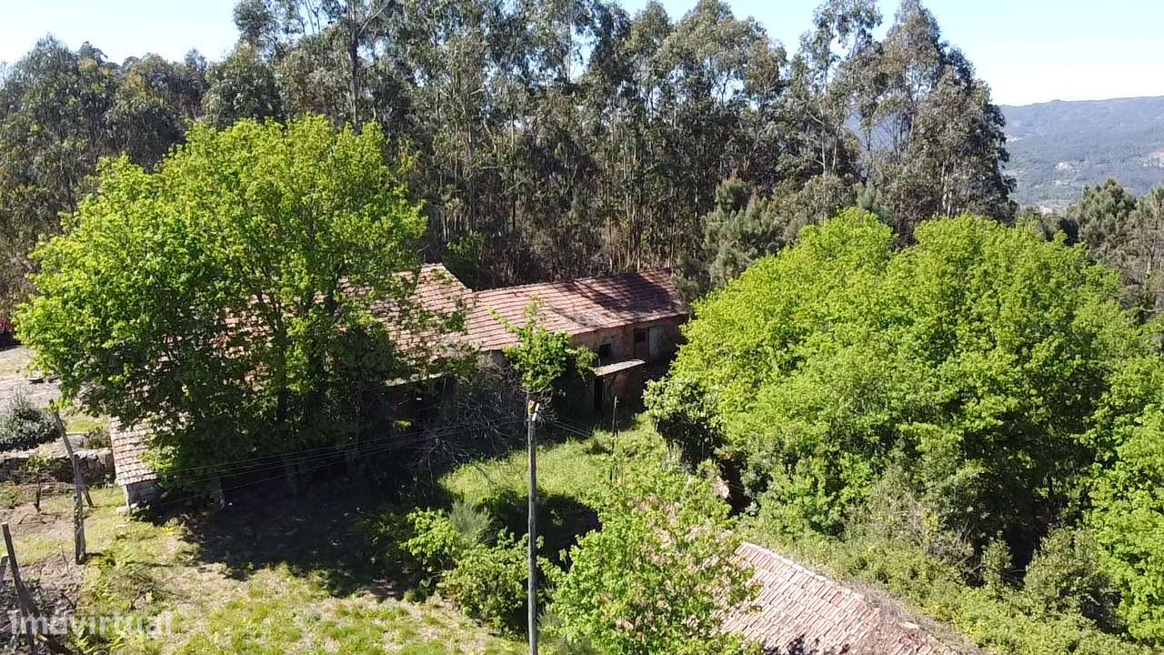 Quintinha – Oliveira de Frades-16