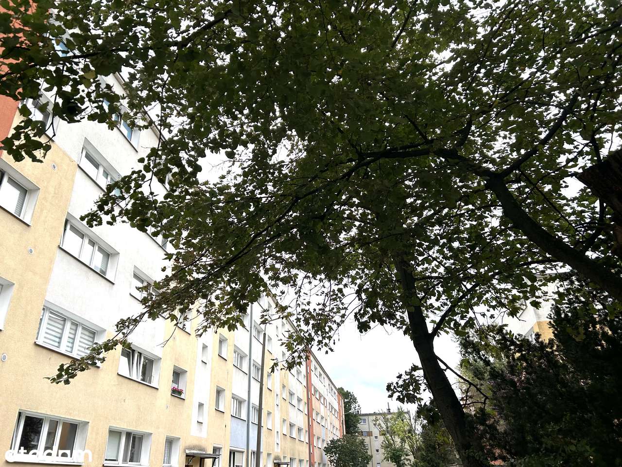 Mieszkanie dwupokojowe w niskim bloku