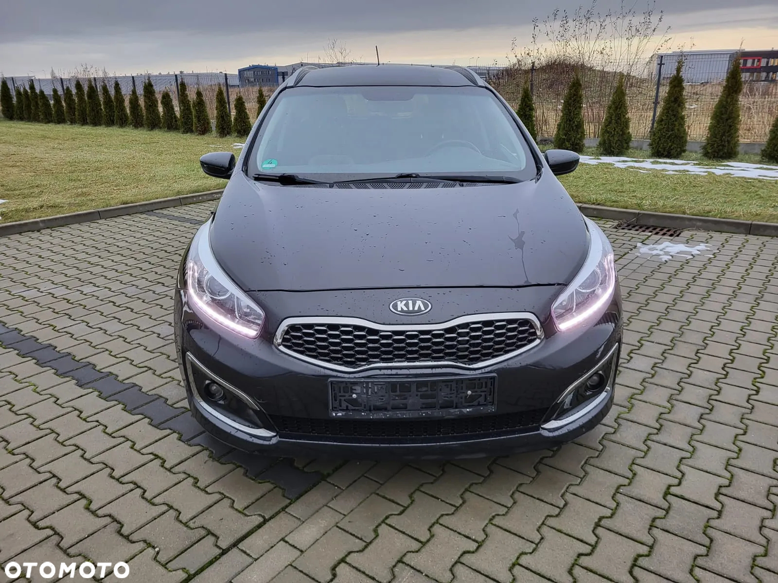 Kia Ceed SW 1.6 CRDi Platinum Edition - 2