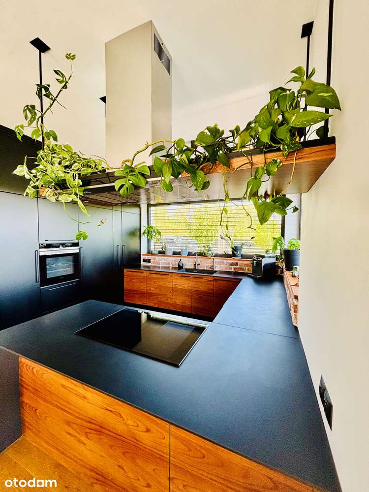 Nowoczesny,  parterowy dom z garażem dwustanowiskowym i pompą ciepła - Pełny obrazek: 5/17