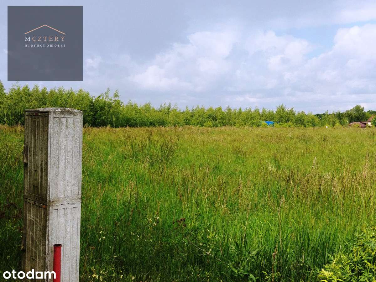 Działka rozległym widokiem na  jezioro/Media - Pełny obrazek: 4/10