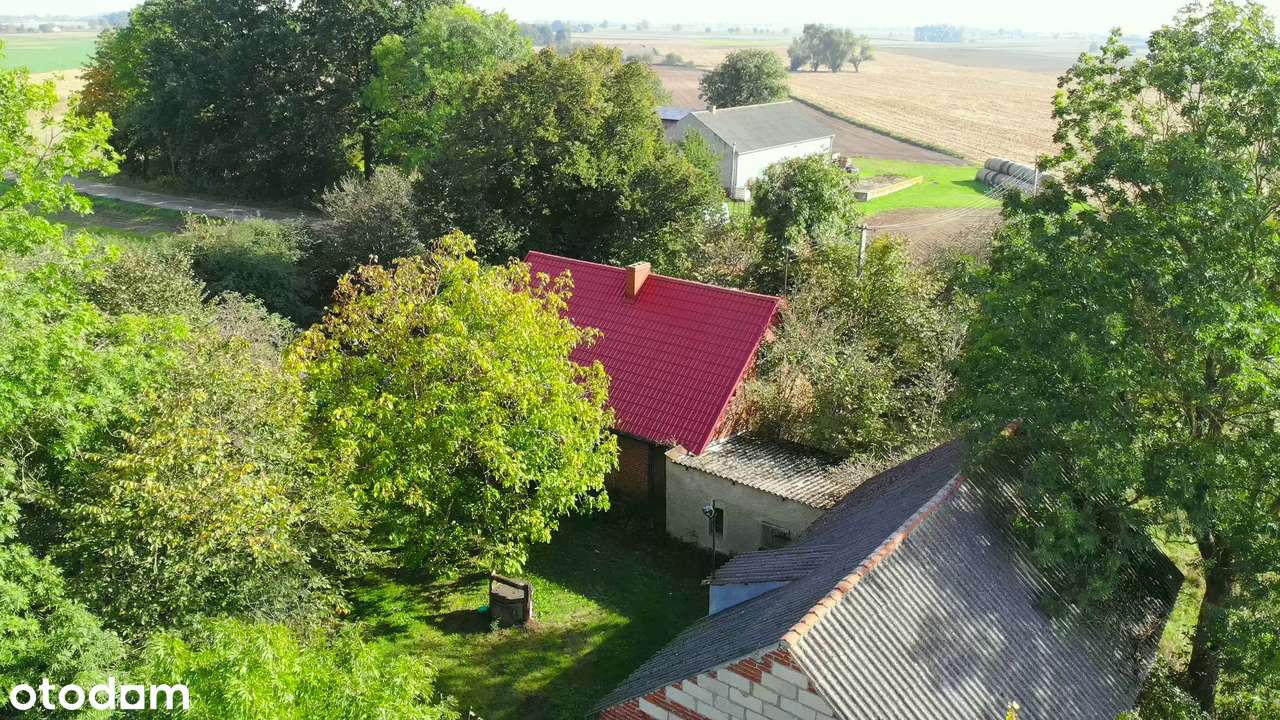 Ostrowite. Gospodarstwo z potencjałem - Pełny obrazek: 4/20