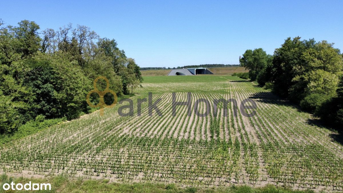 Działka pod budowę domu w Korzeńsku