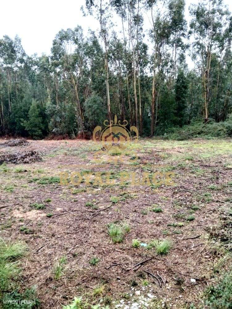 Terreno com 600m2 em Sanfins, Santa Maria da Feira - Grande imagem: 4/7