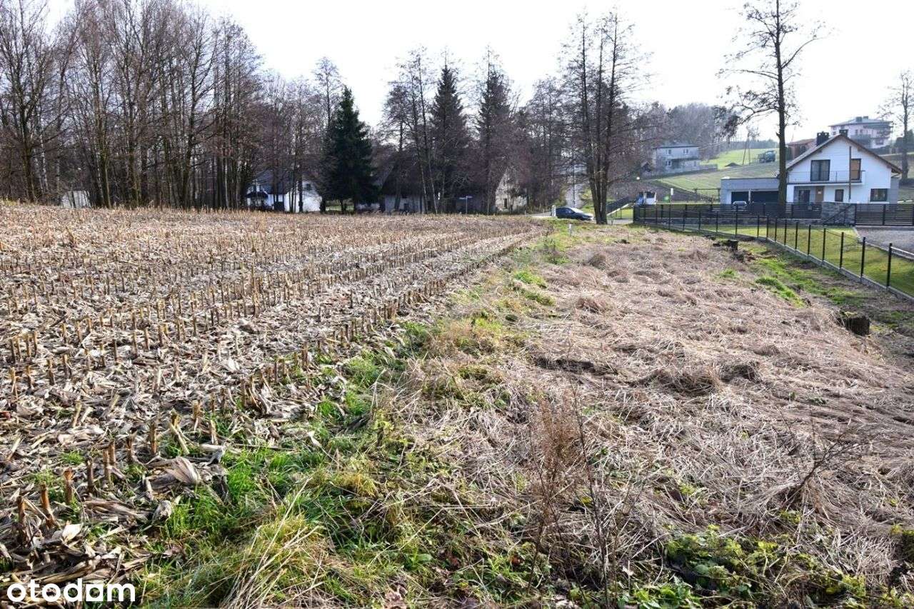 Działka budowlana w Studzionce 875 m2. - Pełny obrazek: 5/6