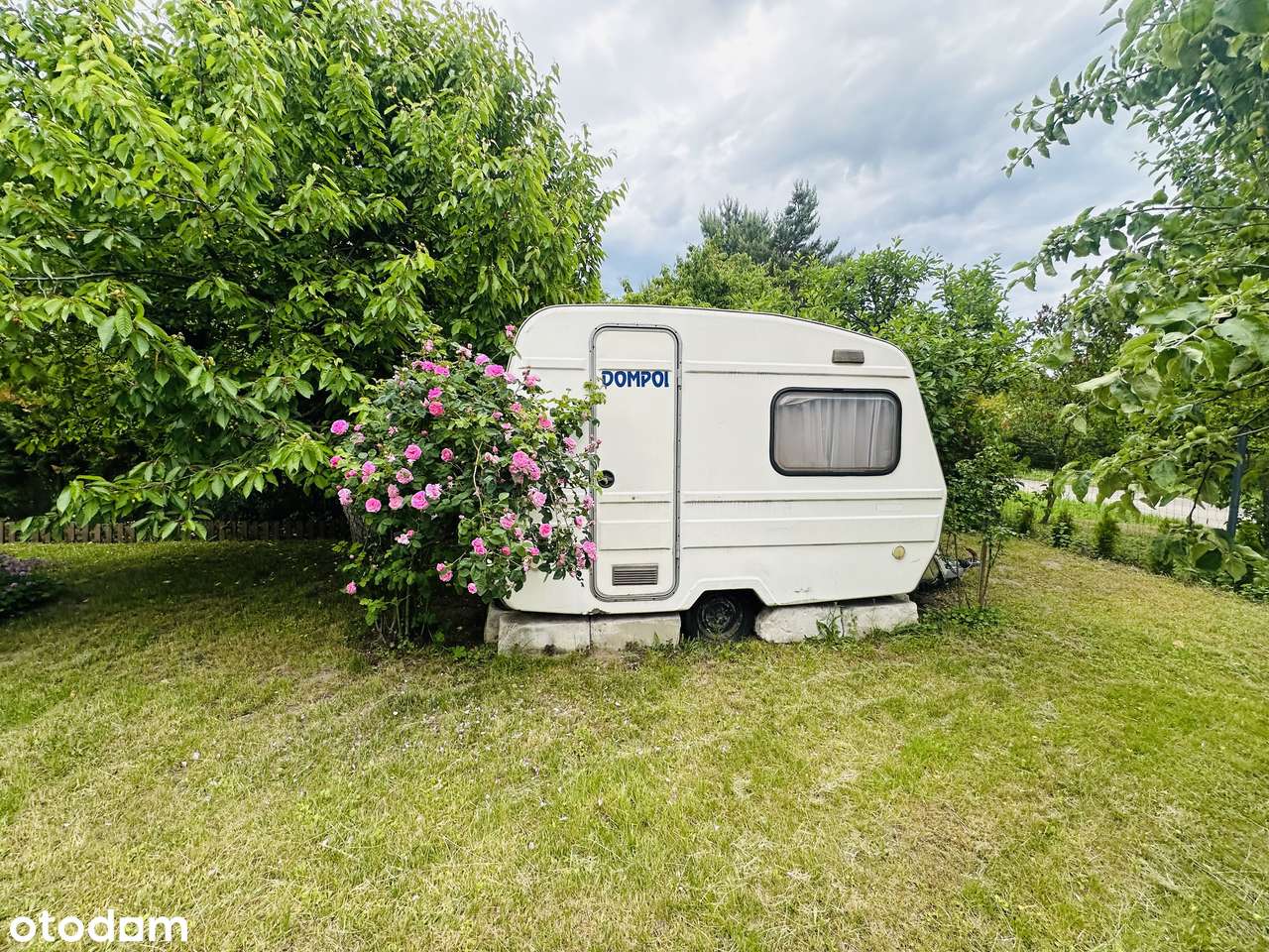 Działka rekreacyjna 6 arów – Kulów k. Głogowa – ROD RELAX - Pełny obrazek: 5/8