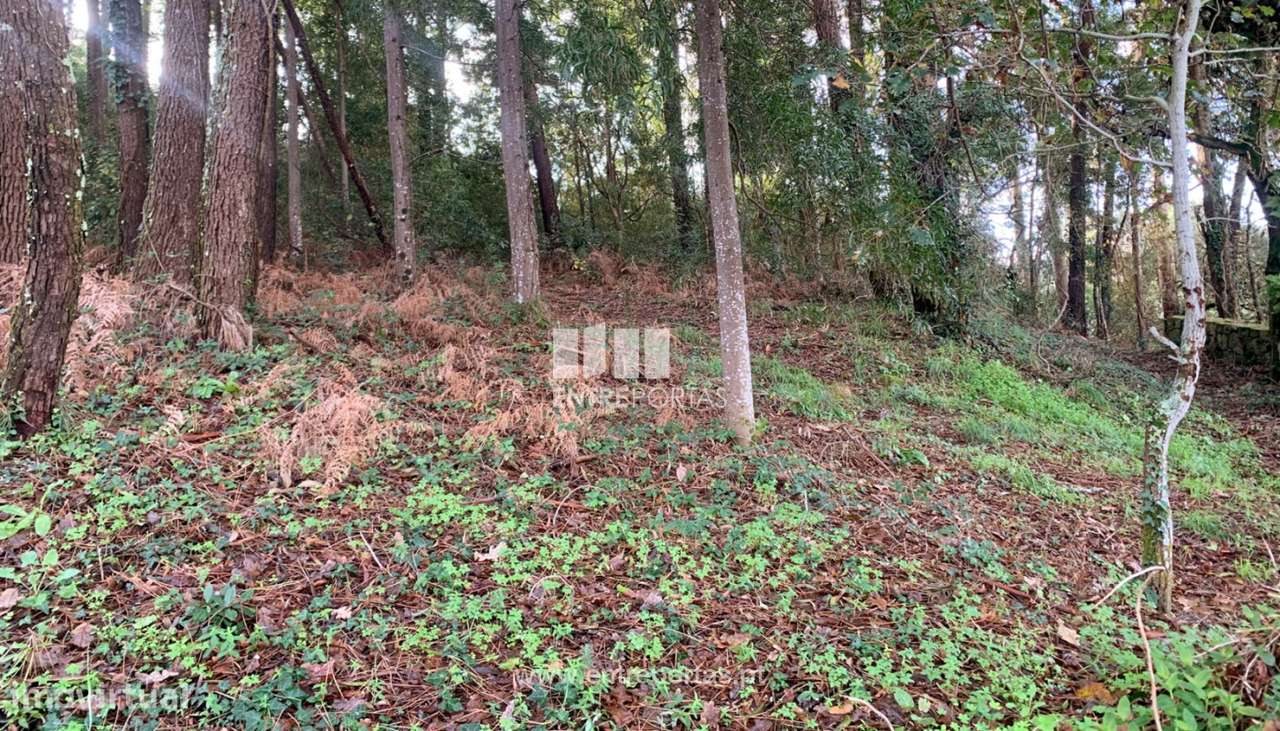 Terreno com vista mar para venda, moledo, Caminha - Grande imagem: 5/10