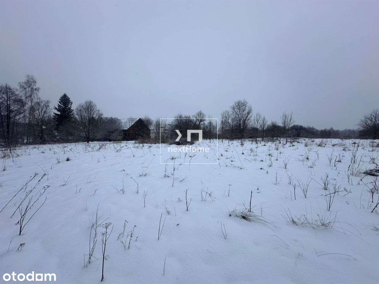 Działka 2700 m2 w Chmieleniu- 20 min od Jeleniej