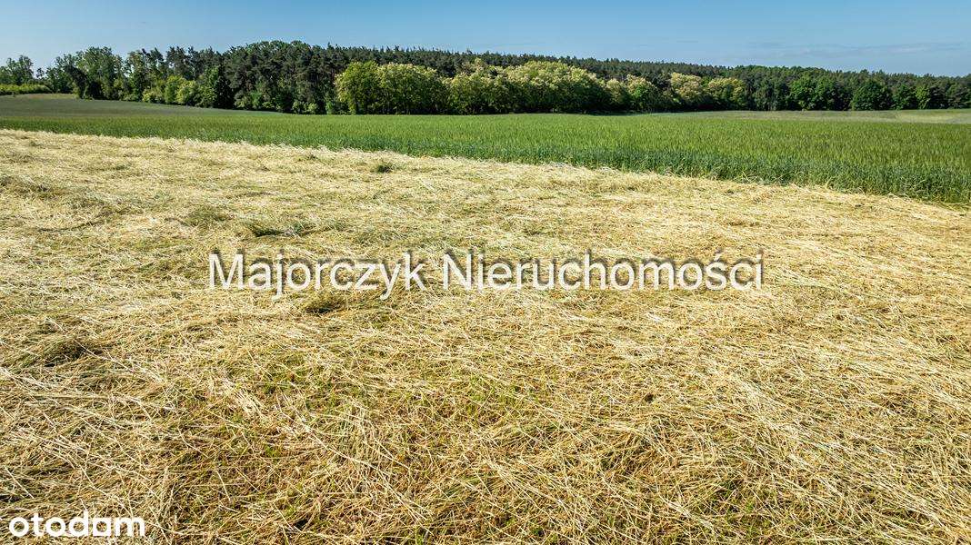 Działka budowlana w Ujazdowie, 650 m do centrum Boszkowa-Letniska - Pełny obrazek: 4/18