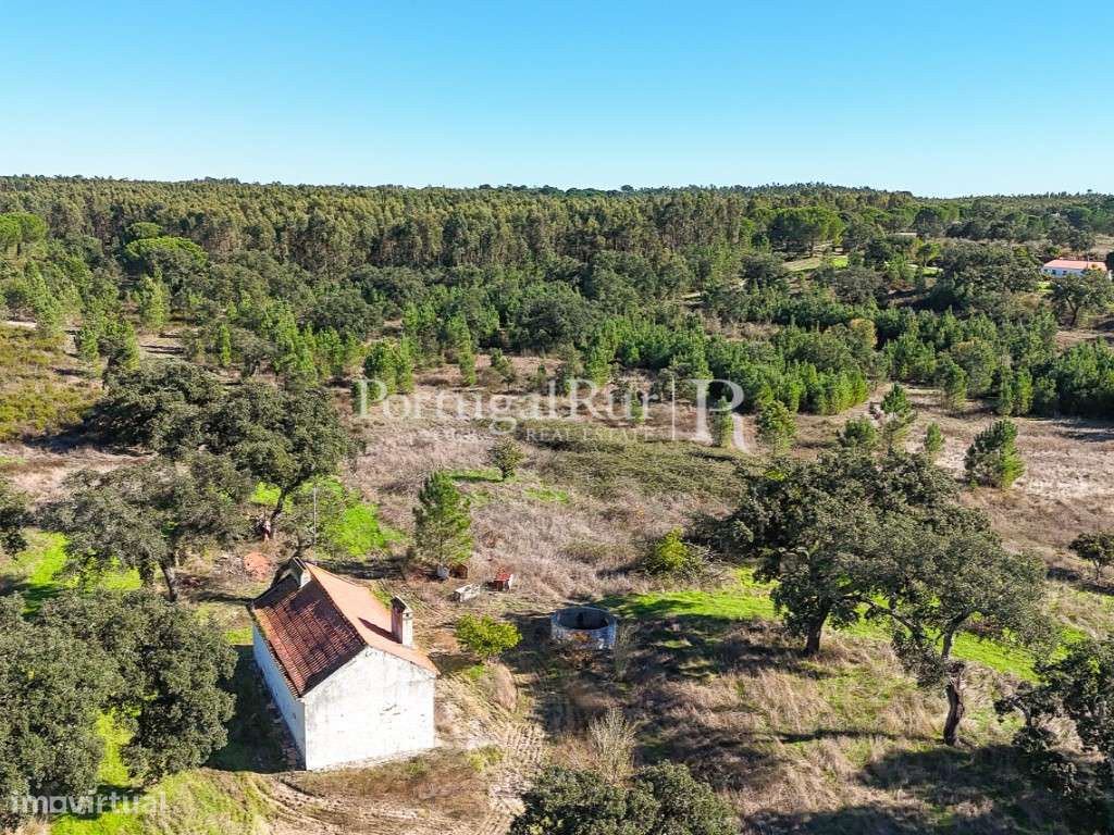 Quinta de 20ha com projeto para Turismo Rural a 1h de Lisboa-48