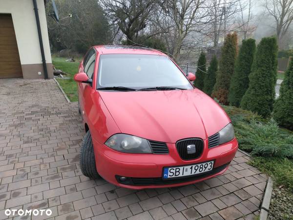 Seat Ibiza - 1