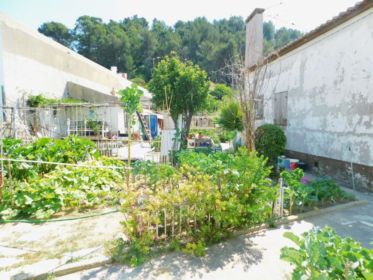 Terreno urbano (1160m2) - Costa da Caparica (São João da Caparica)-13