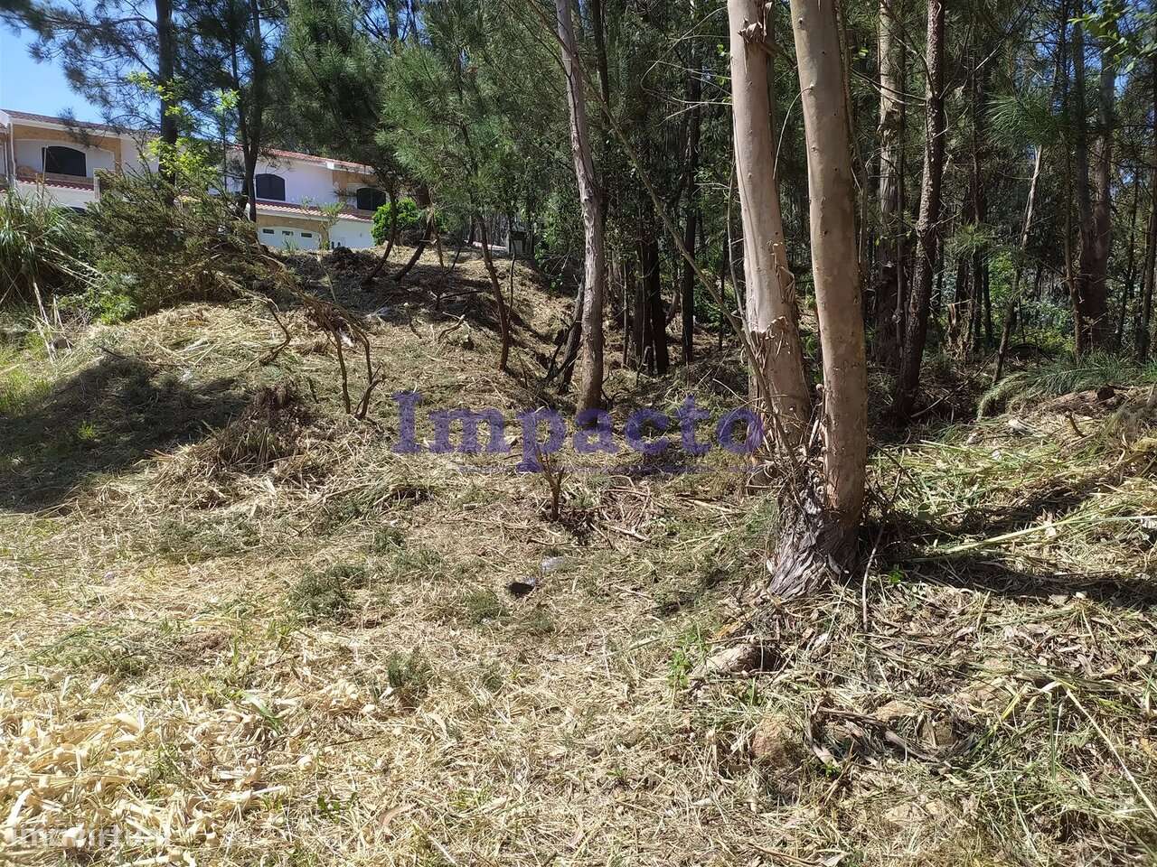 Lote de terreno em zona habitacional Monte Cesar Oliveira de Azeméis - Grande imagem: 4/4