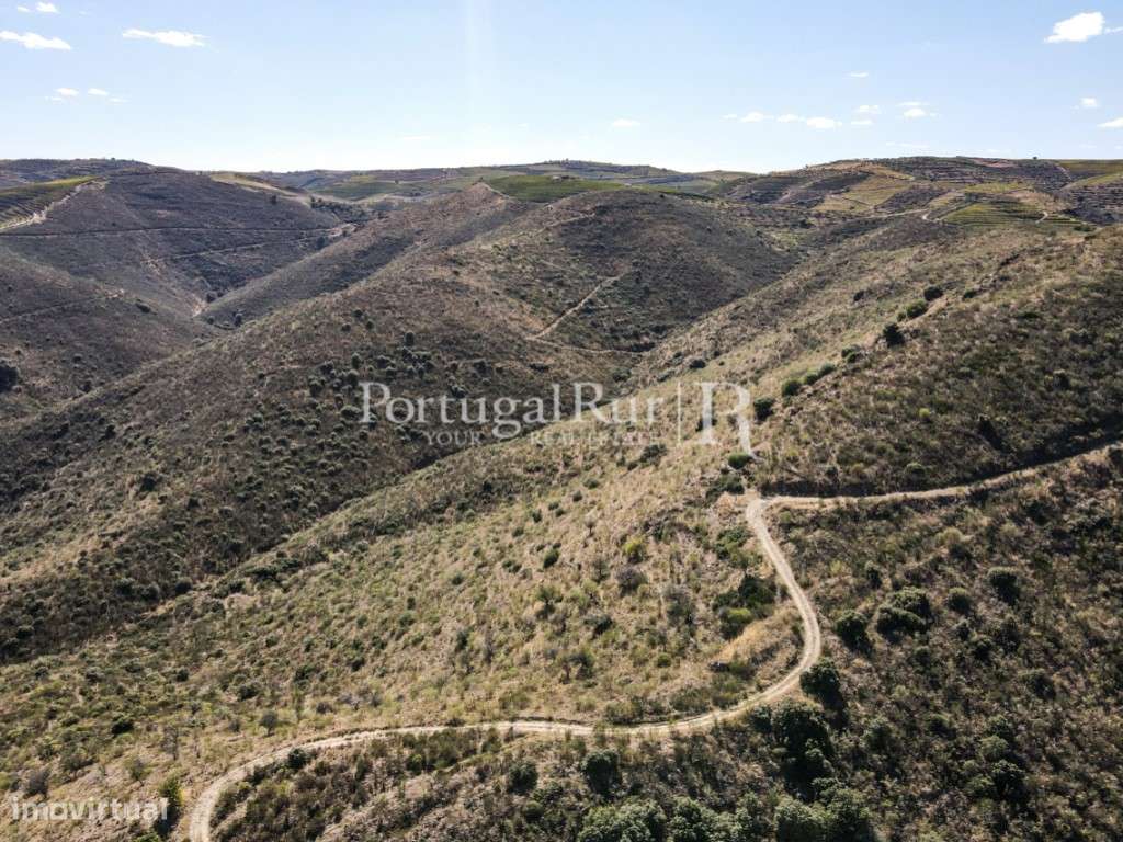 Propriedade em Vila Nova de Foz Coa - Vinho do Douro - Grande imagem: 4/49