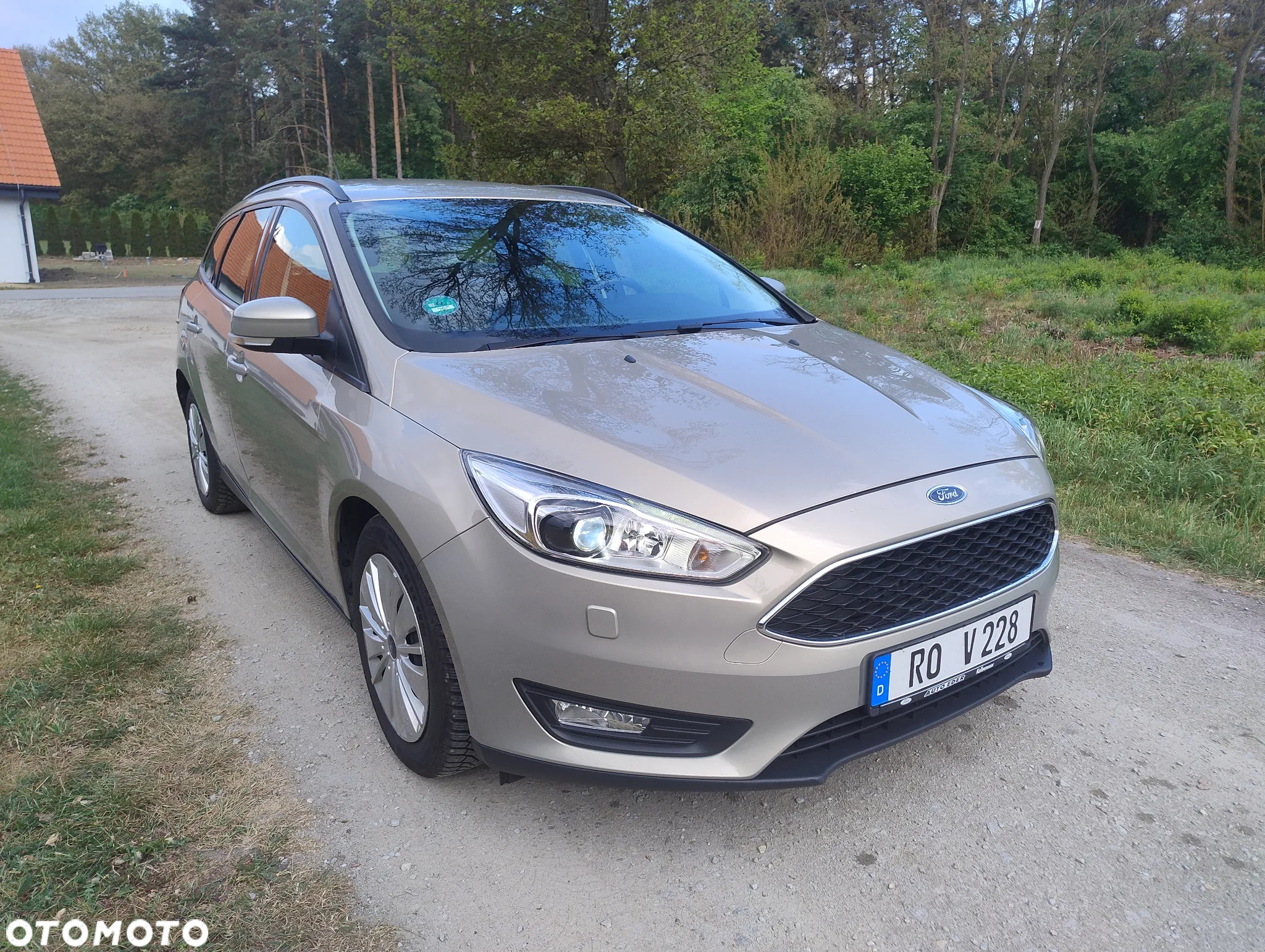 Ford Focus 1.0 EcoBoost Gold X (Edition) - 13