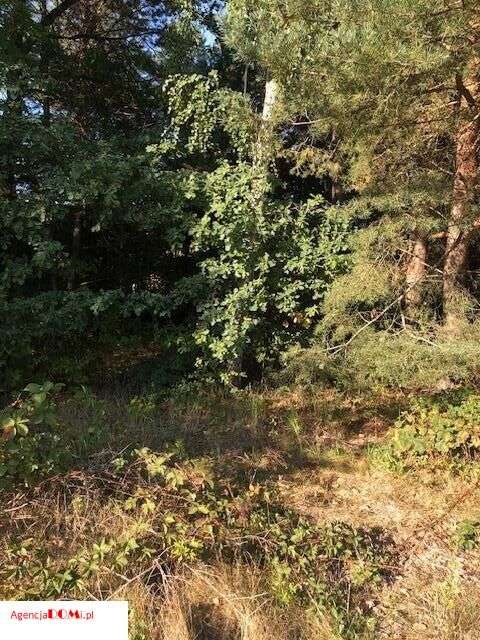 Władysławów(k.Siestrzeni),prąd,gaz,woda,budowlana,-8