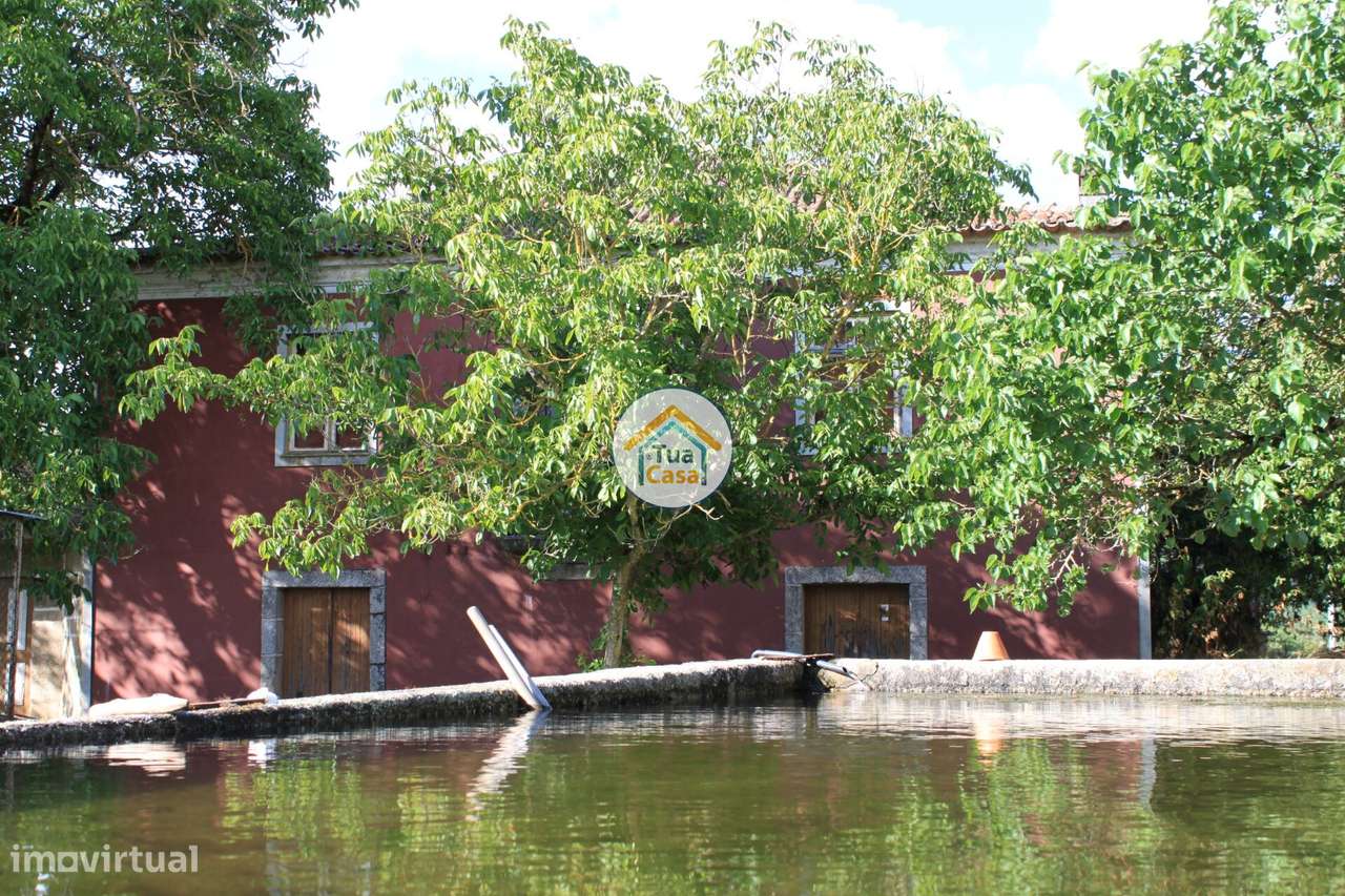 Quinta T5 Senhorial no Rio Dão - Grande imagem: 4/29