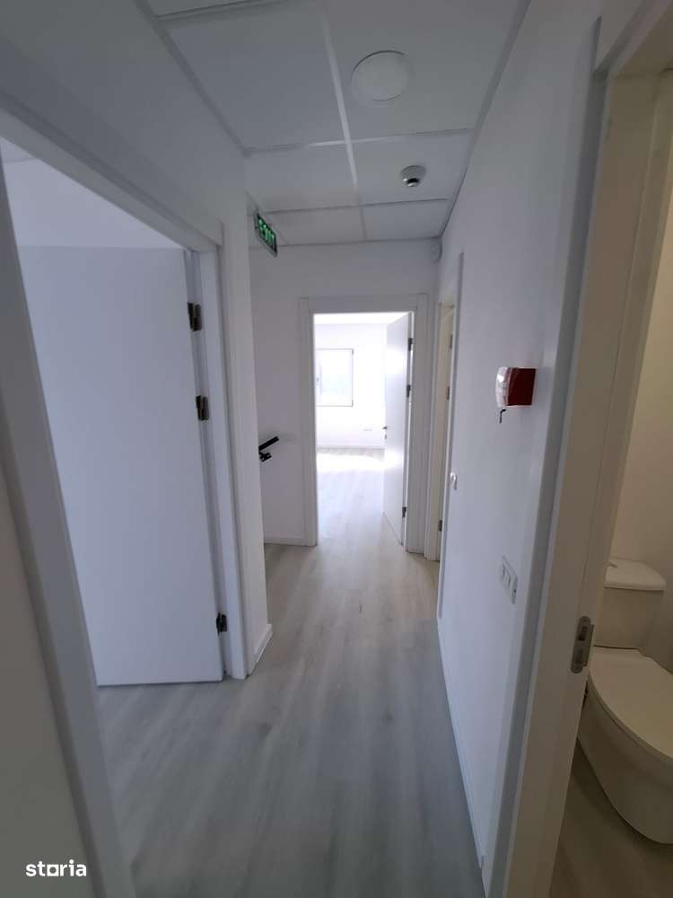 Hale industriale moderne – Rudeni, Chitila (la 250 m de Centură)-16