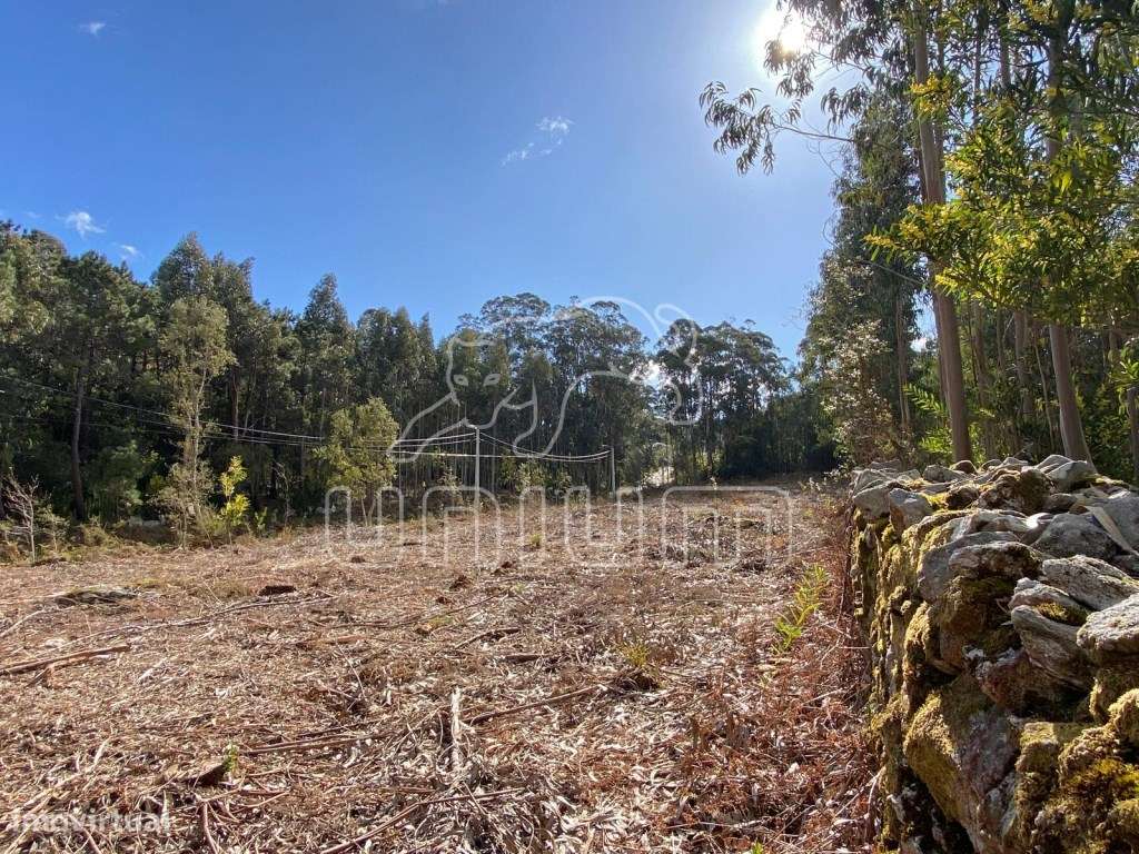 Terreno para construção perto de Stº Antão - Caminha - Grande imagem: 5/9
