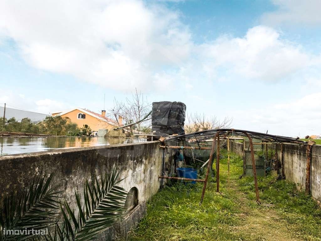 Terreno em Benavente-19