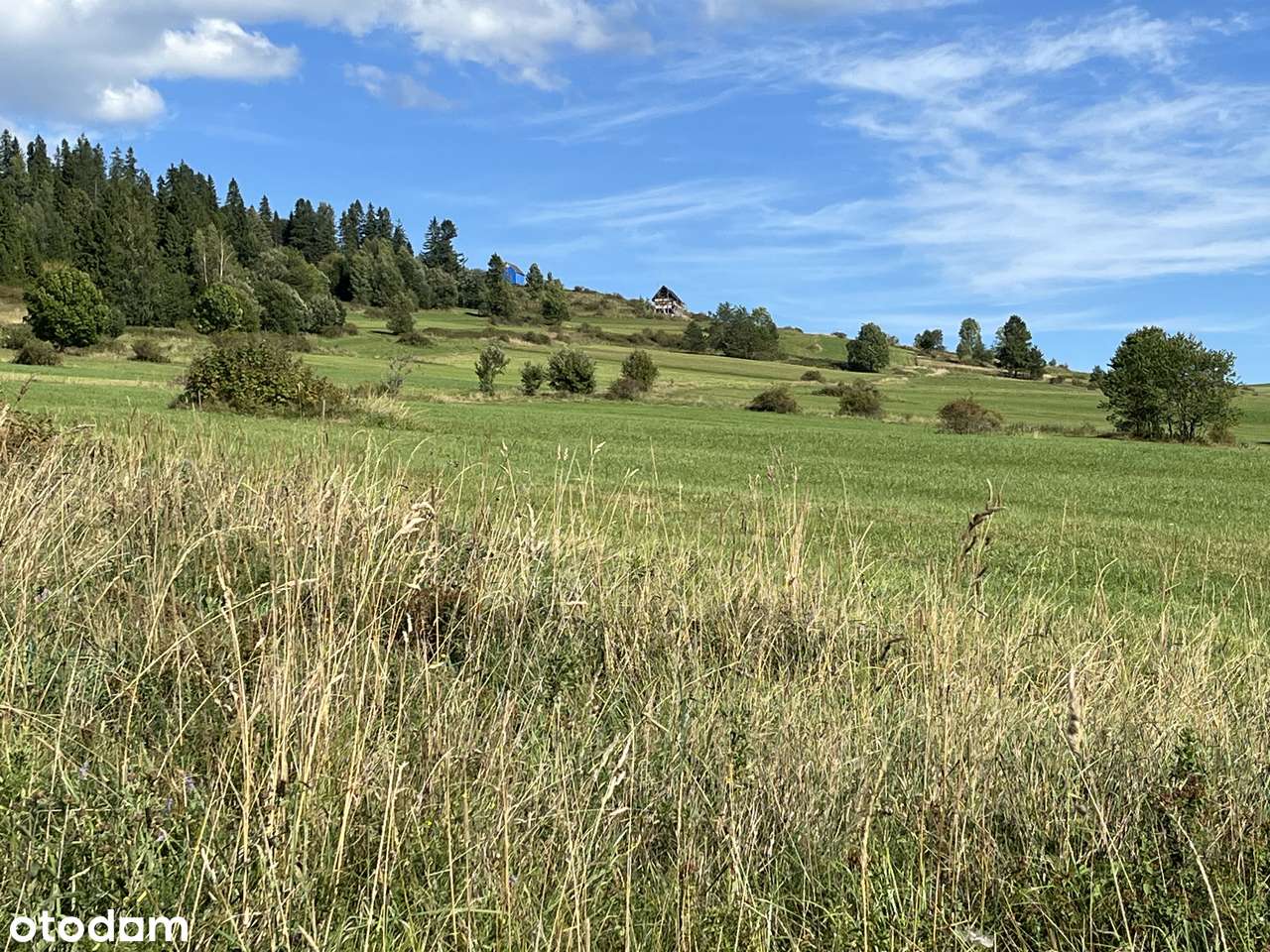 Na sprzedaż działka 20 arów z cudownym widokiem na Tatry | Czarna Góra - Pełny obrazek: 4/8