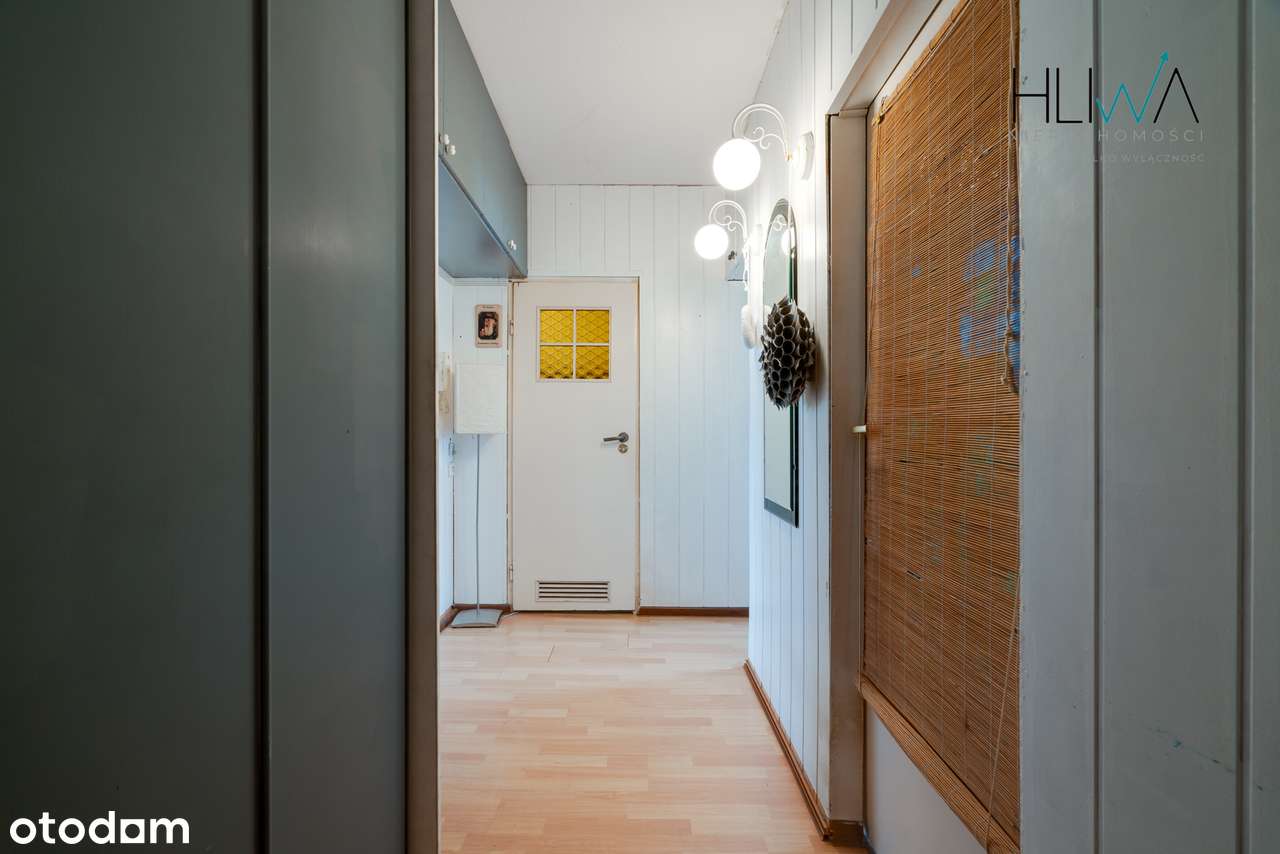 Mieszkanie 2pokoje, 48.2m2 z komórką lokatorską oraz piwnicą! Zaspa-14