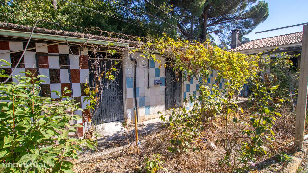 Fantástica Quinta com 3.450 m² a 3 km de Carregal do Sal-7