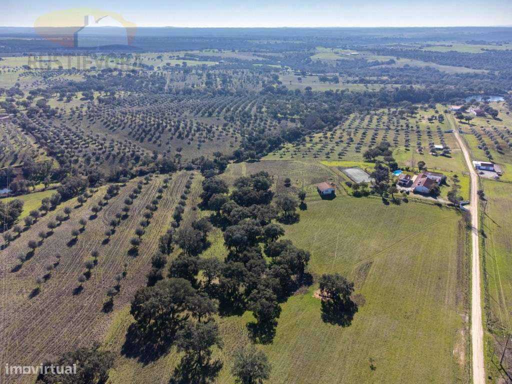 Quinta com Monte Alentejano | Montemor-o-Novo, Alentejo, Portugal - Grande imagem: 5/60