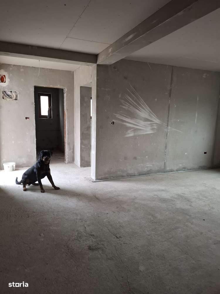 Ocazie!!  Sanandrei – Casa individuala [GRI ] 4 Camere  parter - Imagine principală: 4/9