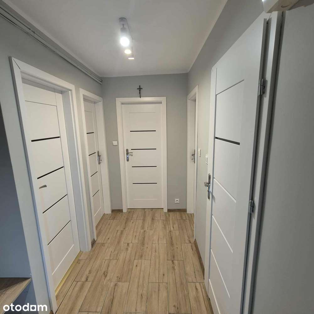 3-pokoje mieszkanie po generalnym remoncie  na parterze dost. od zaraz