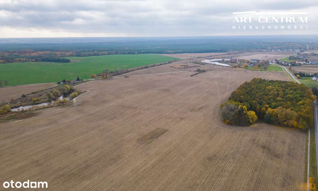 Inwestycja pod przemysł/usługi/OZE (1 ha - 100ha) - Pełny obrazek: 5/20