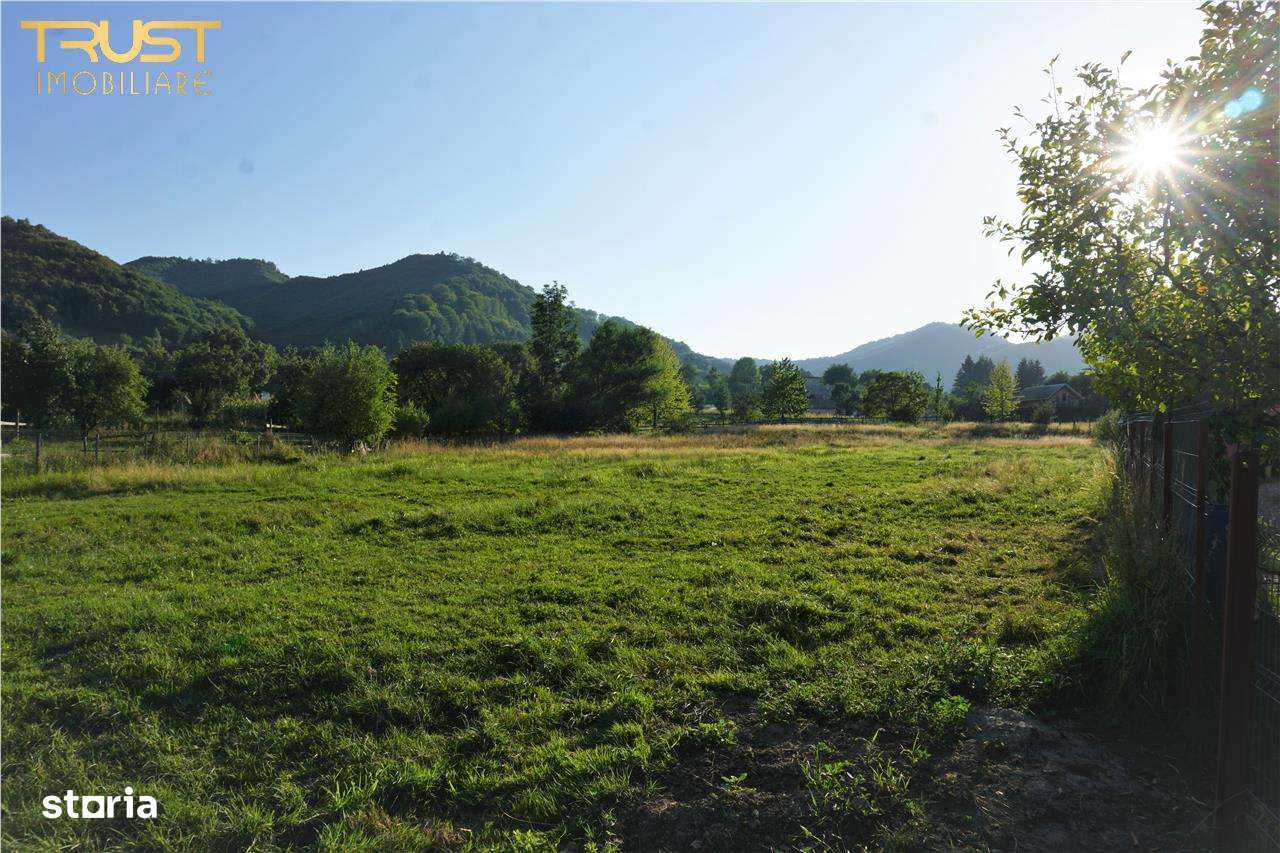 Teren intravilan Bistrita Birgaului, schimb cu apartament - Imagine principală: 1/13