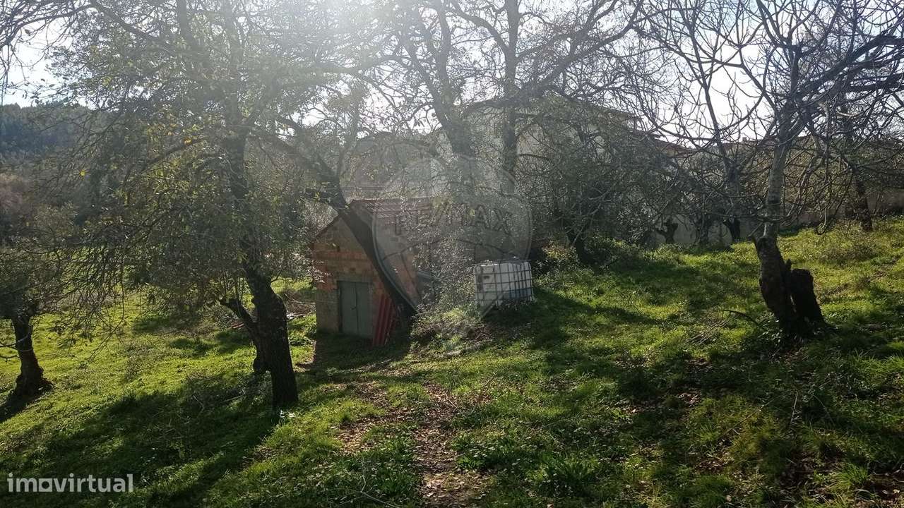 Terreno  para venda - Grande imagem: 2/18