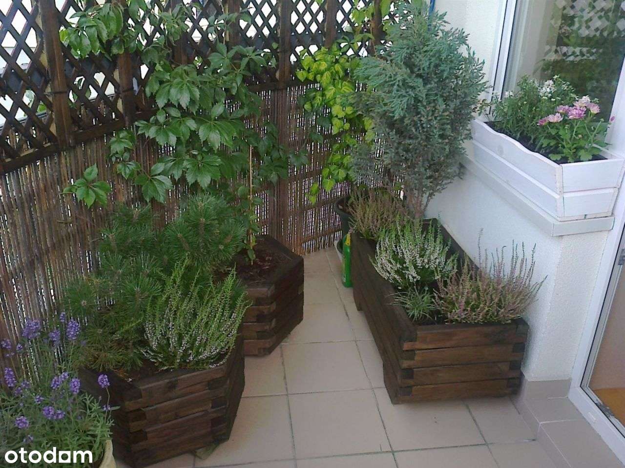 Nowoczesne 2-pokojowe mieszkanie z balkonem-11