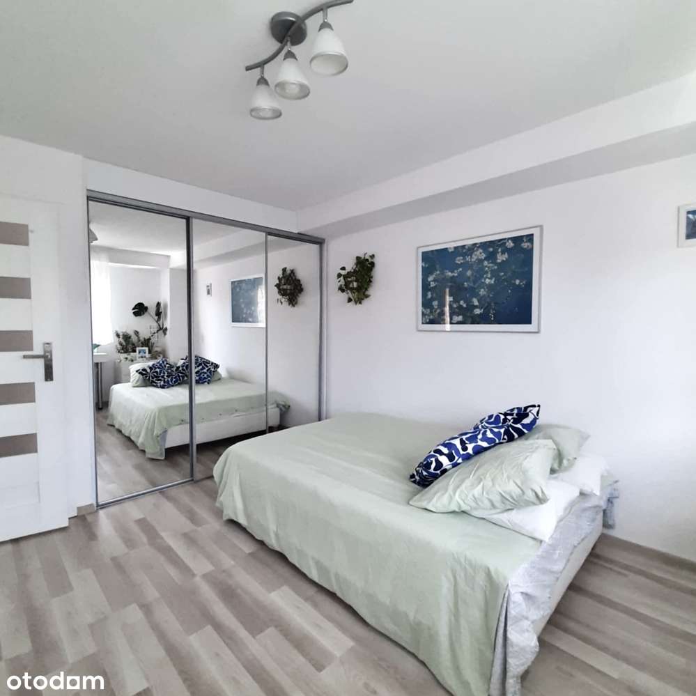 3 pokoje | Grzegorzki | Piwnica w cenie-2