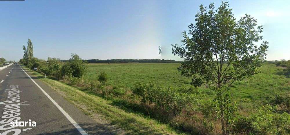Teren 33,000 mp - Ciolpani cu deschidere directa la DN1 - Imagine principală: 3/3