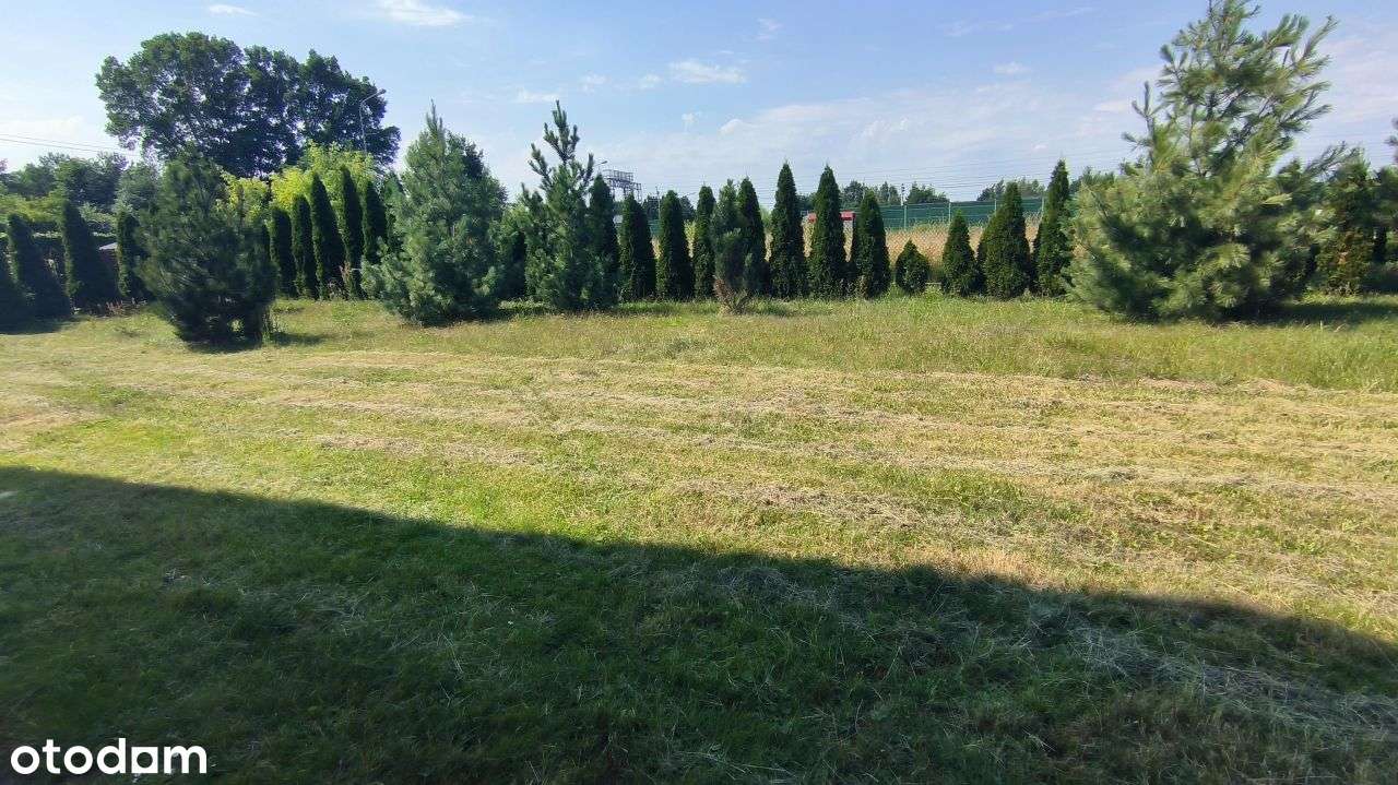 Dom w okolicy Jaktorowa.Piękna Działka. - Pełny obrazek: 5/8