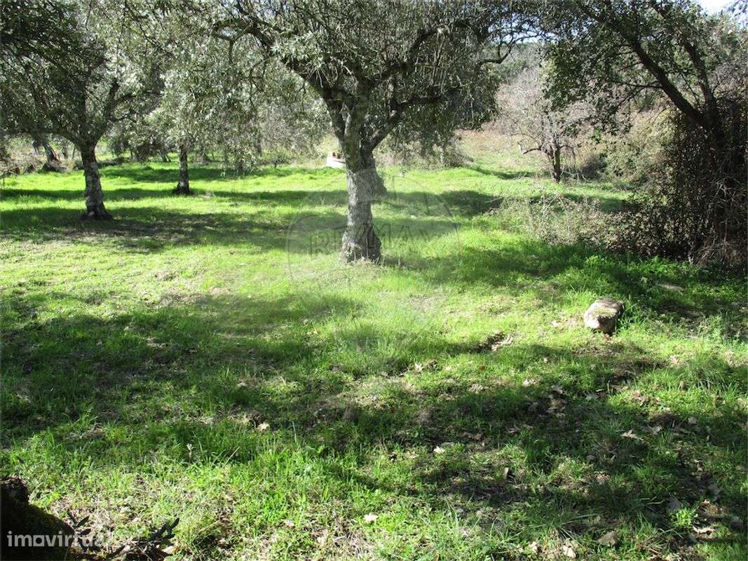 Quinta  para venda - Grande imagem: 3/24