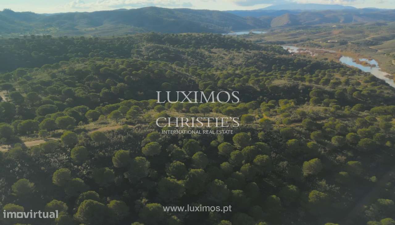 Herdade com ruínas, à venda em São Bartolomeu de Messines, Algarve - Grande imagem: 4/8