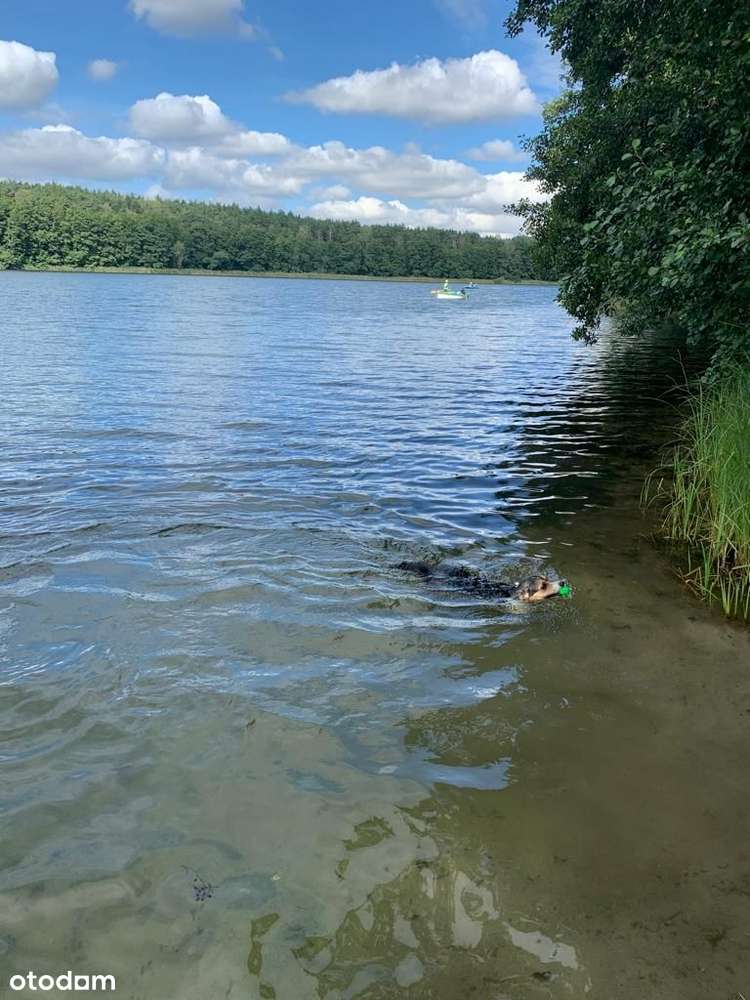Działka z dostępem do jeziora. Ostrowo/ Powidz-6