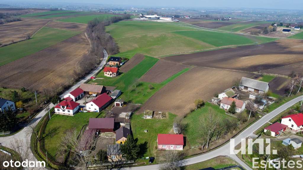 80 arów| Trątnowice| Duży potencjał - Pełny obrazek: 4/8