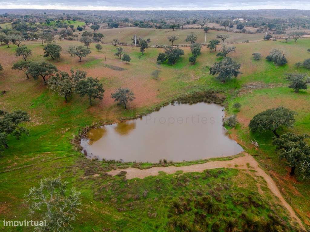 Fantástica quinta típica Alentejana em Vila Verde de Ficalho - Grande imagem: 4/27