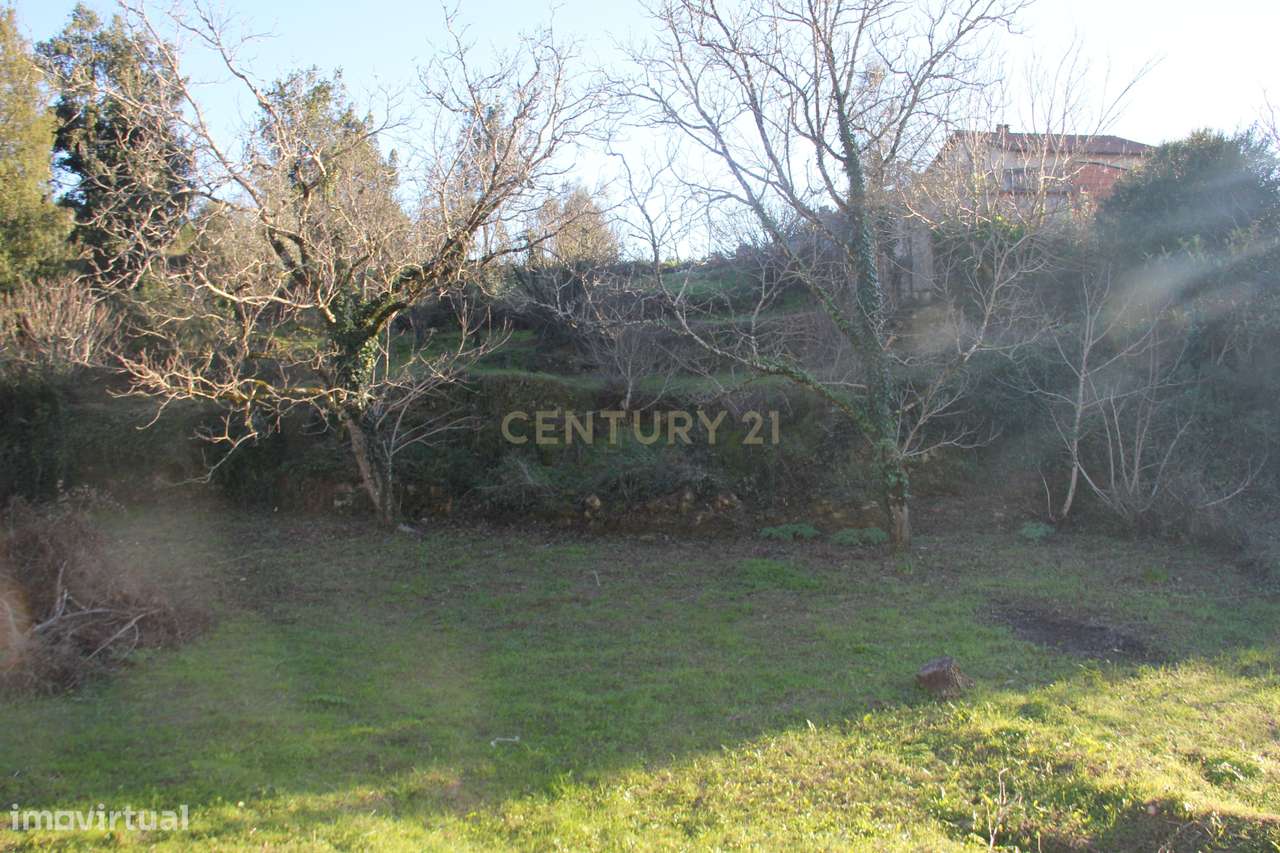 Fantástico terreno para moradia - Grande imagem: 4/27