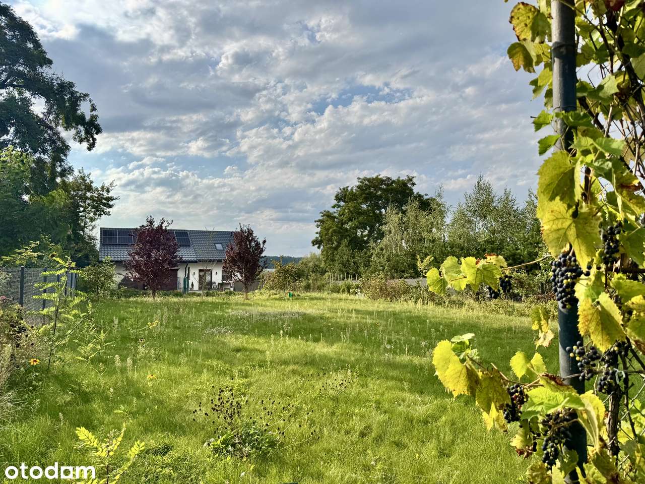 Dom z ogrodem | Garaż 2-stanowiskowy | Sad+warzywnik | Do jeziora 200m-16