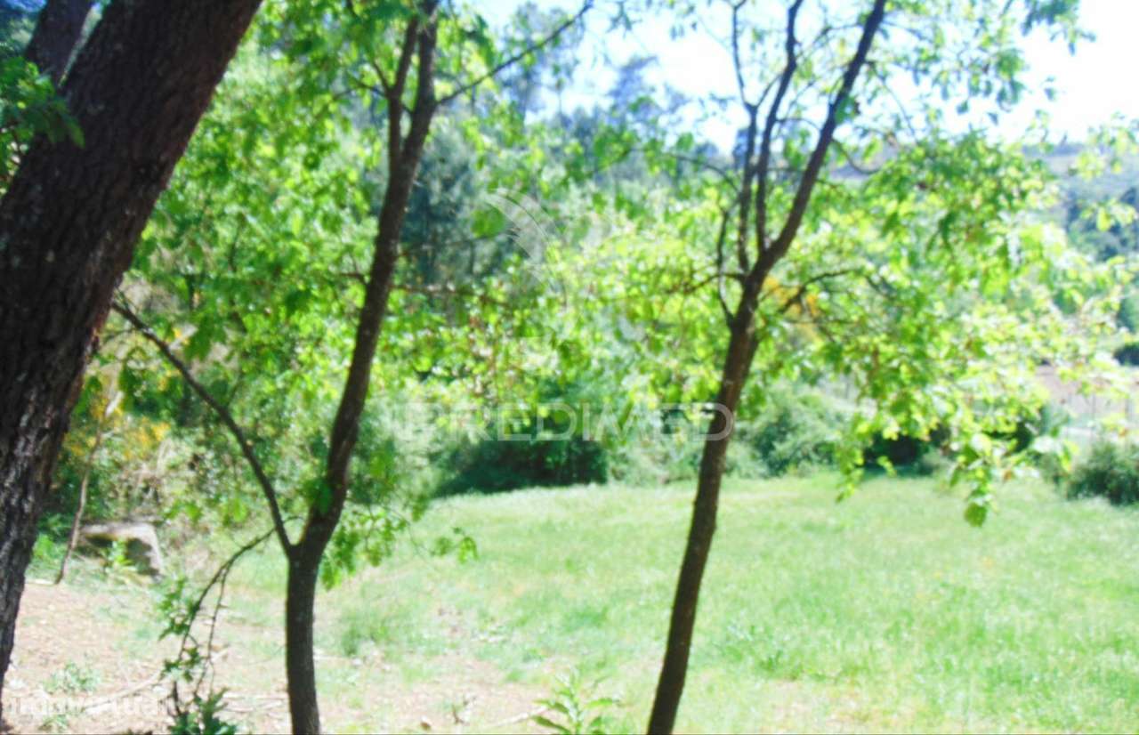 Terreno agrícola c/1,8 ha a 6 kms do centro de Vila Real - Grande imagem: 5/25