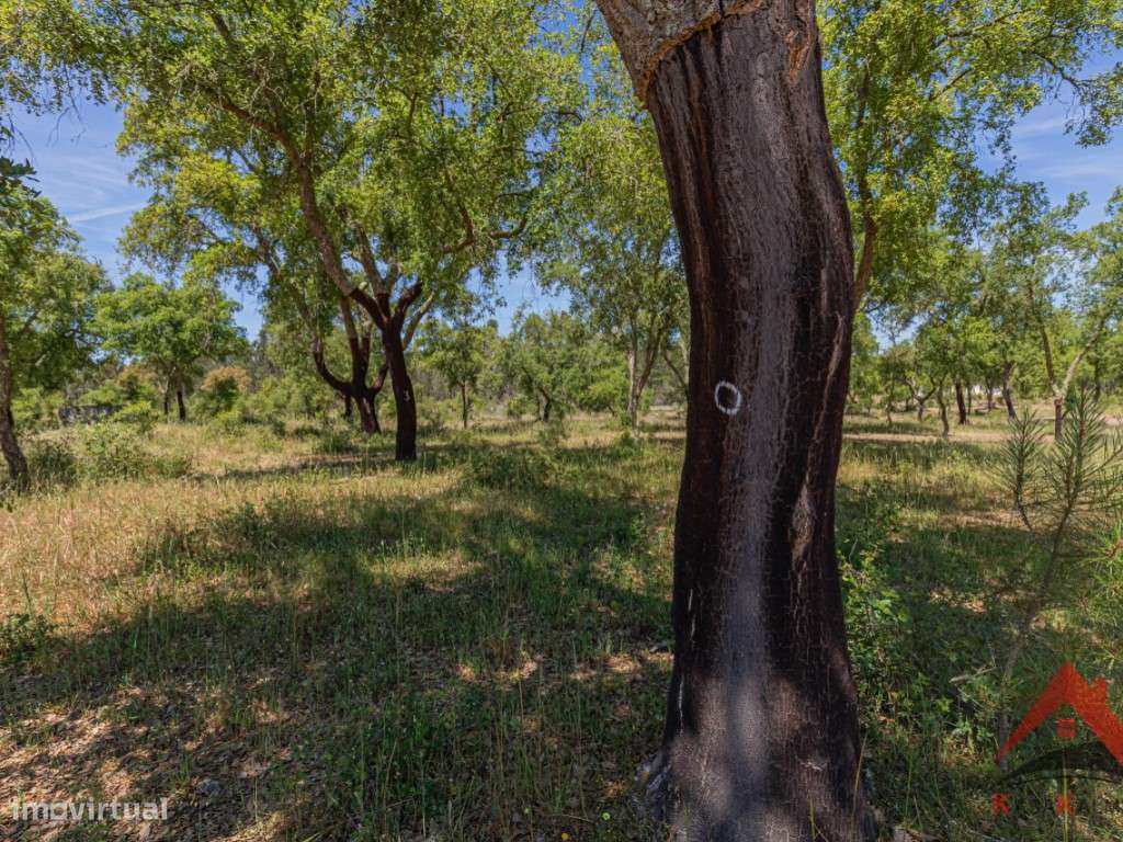 HERDADE DO BARRANCO - OPORTUNIDADE ÚNICA PARA TURISMO E INVESTIMENTO-47