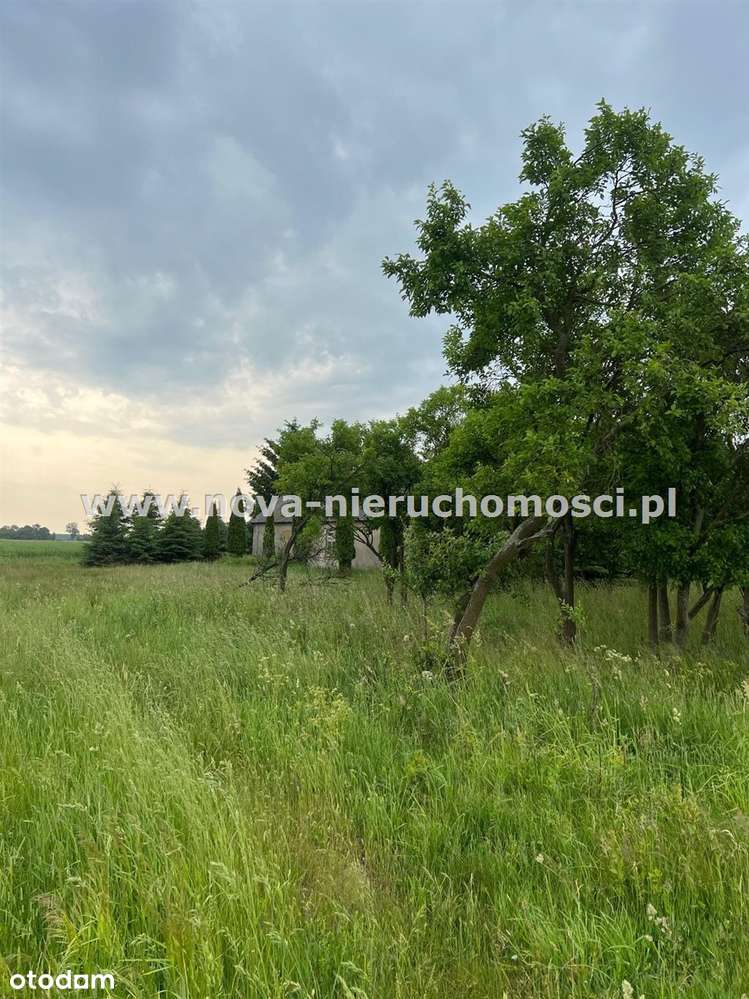 Dom Malanowo Stare-6