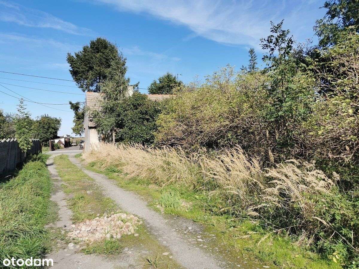 Stary dom z gruntem rolnym 1,56 ha, Sławoszew - Pełny obrazek: 5/12